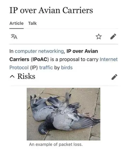 Wikipedia Article on IP over Avian Carriers (Birds), showing a dead bird as an example of package loss